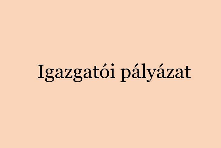 Igazgati plyzati kirs